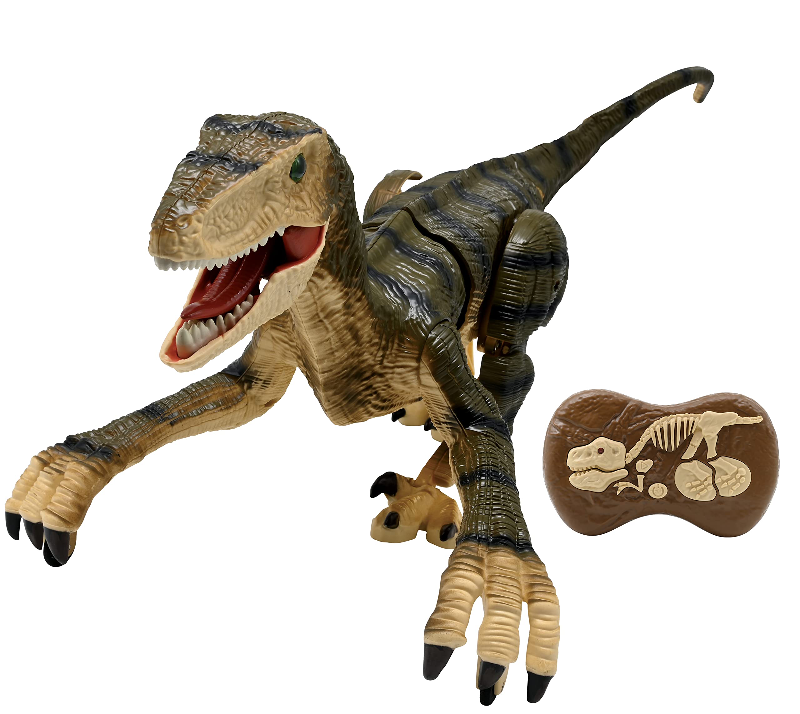 Dinosaur